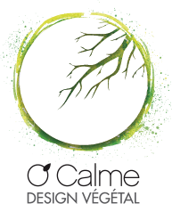 Logo O'Calme